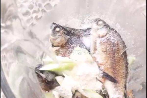 野生鲫鱼豆腐汤的做法图解9