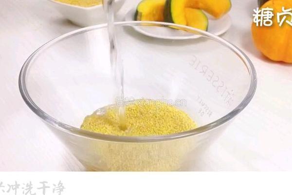 宝宝营养餐系列~南瓜小米粥的做法图解5
