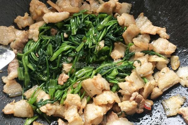 五花肉炒空心菜的做法图解6