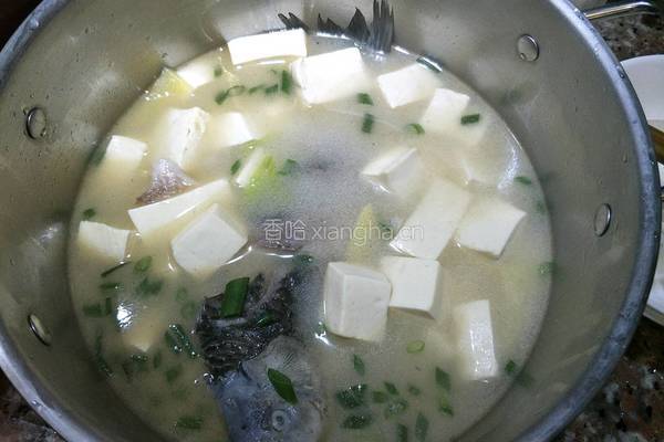 鲫鱼豆腐汤的做法图解6