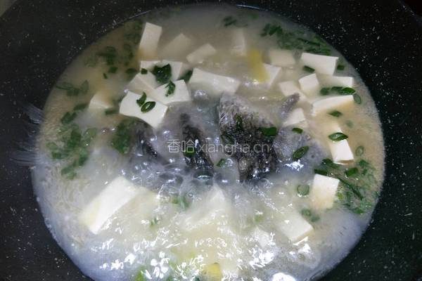 鲫鱼豆腐汤的做法图解5
