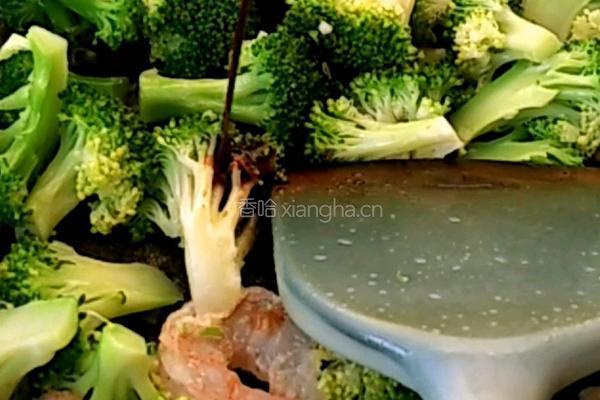 虾仁西兰花的做法图解4