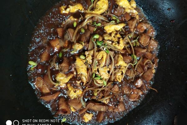 鸡肉焖面的做法图解11