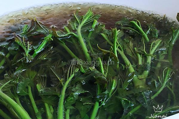 香椿拌豆腐的做法图解4