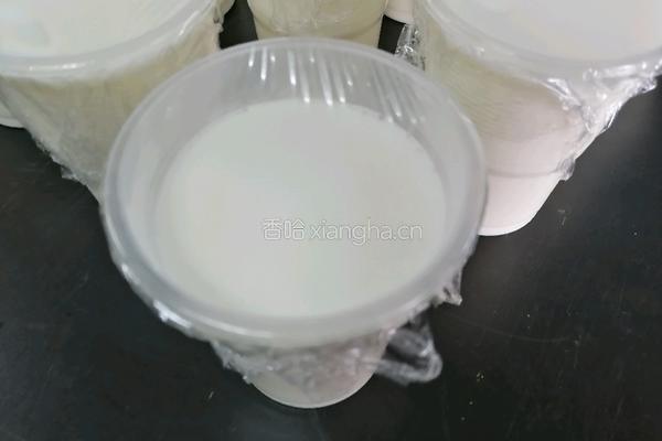 自制酸奶的做法图解3