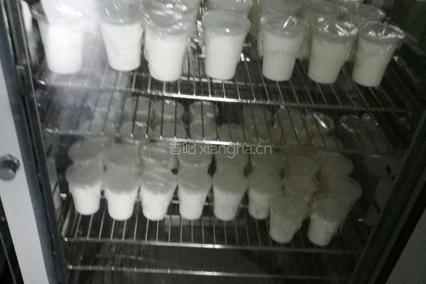 自制酸奶的做法图解4
