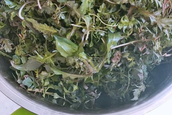 荠菜豆腐馅儿饺子的做法图解2