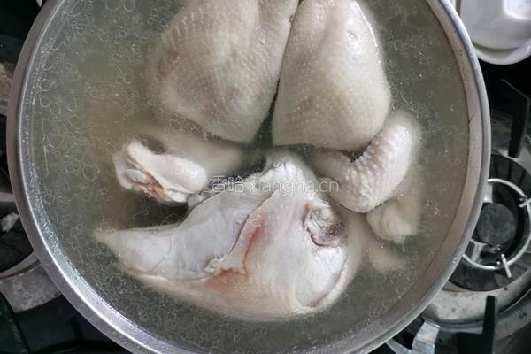 自己动手准备一份爽口油麻鸡 的做法图解3