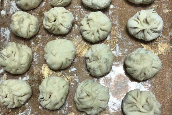 香菇粉丝猪肉包的做法图解8