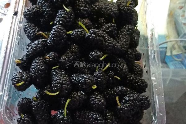 桑葚饮料的做法图解5