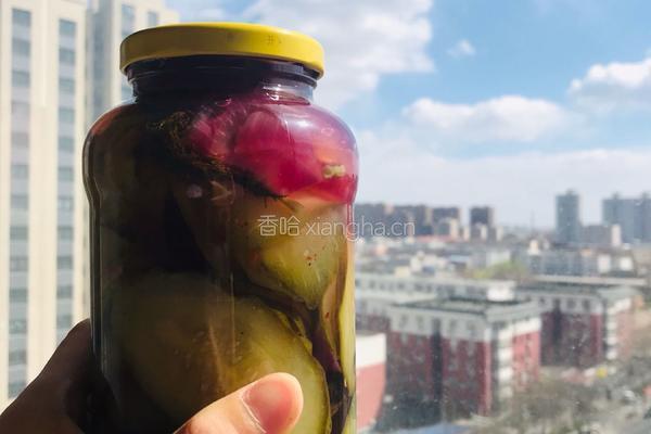 酸黄瓜的做法图解7