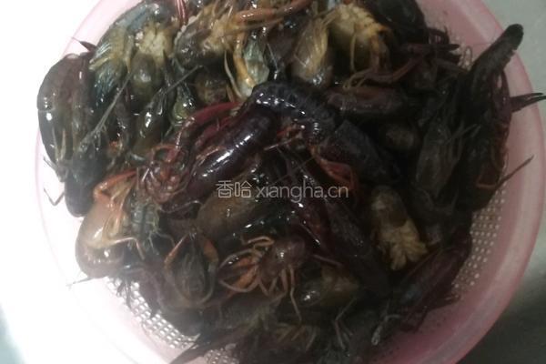十三香小龙虾的做法图解1