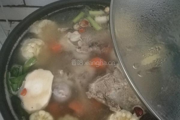 玉米胡箩卜炖筒子骨（电磁炉）的做法图解7