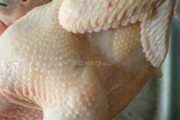 酱油鸡的做法图解1