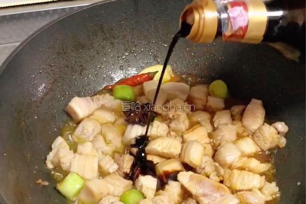 家常红烧肉的做法图解6