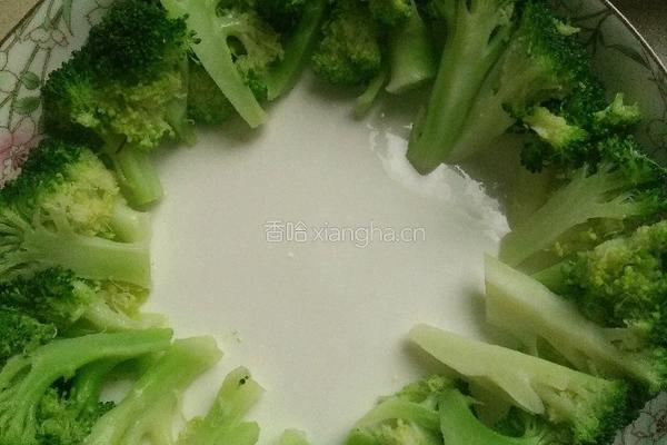 东坡肉的做法图解9