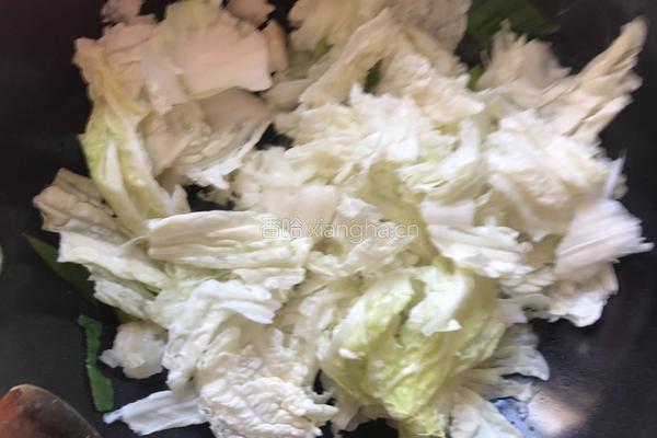 白菜粉丝豆腐汤的做法图解4