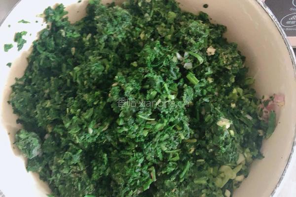 荠菜鲜肉煎包的做法图解6