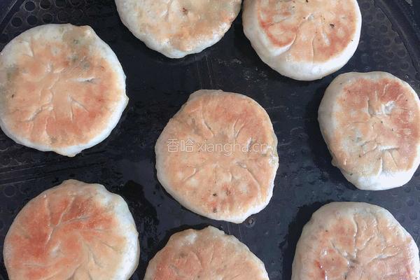 荠菜鲜肉煎包的做法图解12