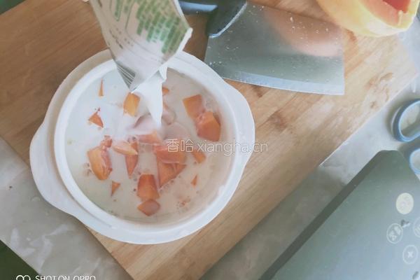 牛奶蒸木瓜的做法图解2
