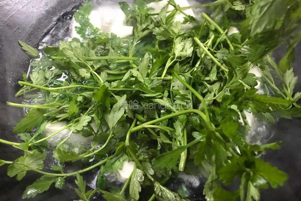 野芹菜叶豆腐汤的做法图解10
