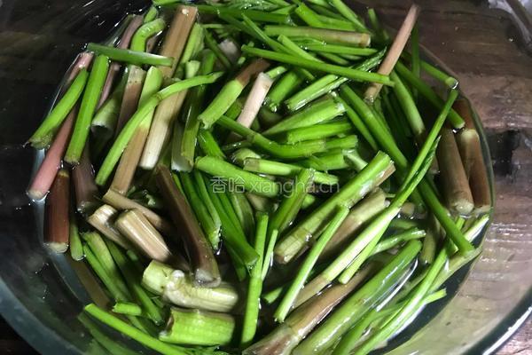 瓜子仁拌野芹菜梗的做法图解2