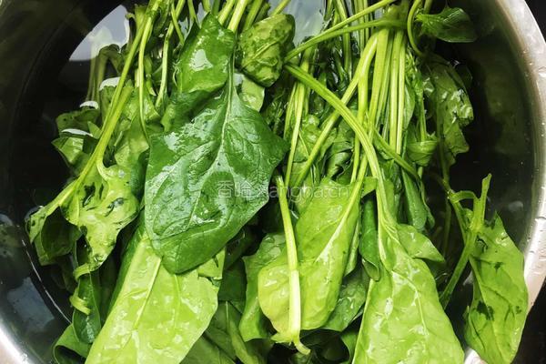 凉拌菠菜粉条的做法图解1