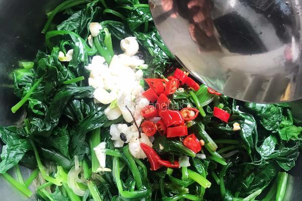 凉拌菠菜粉条的做法图解9