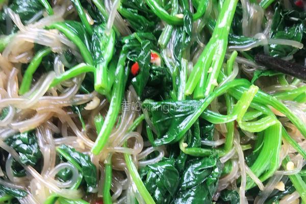 凉拌菠菜粉条的做法图解11