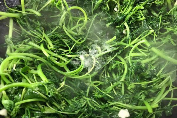 爆炒黄花草的做法图解8