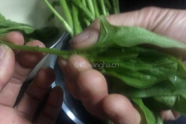 花生拌菠菜梗的做法图解2