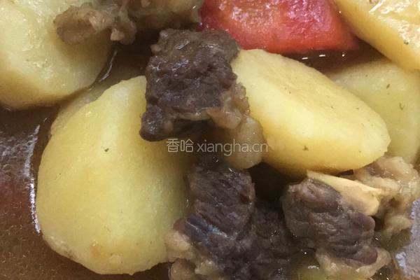 咖喱牛腩的做法图解8
