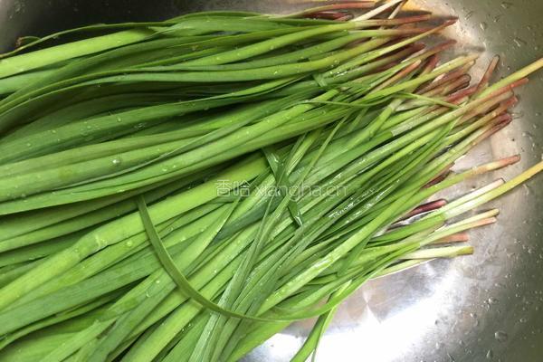 韭菜豆腐饺子的做法图解3