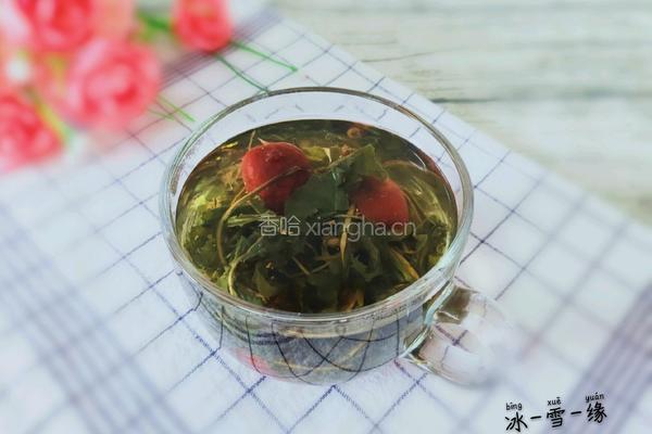 蒲公英红枣茶的做法图解1