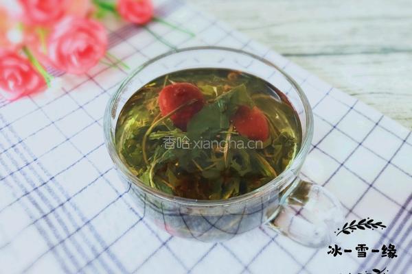 蒲公英红枣茶的做法图解8