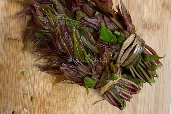 香椿芽拌豆腐的做法图解2