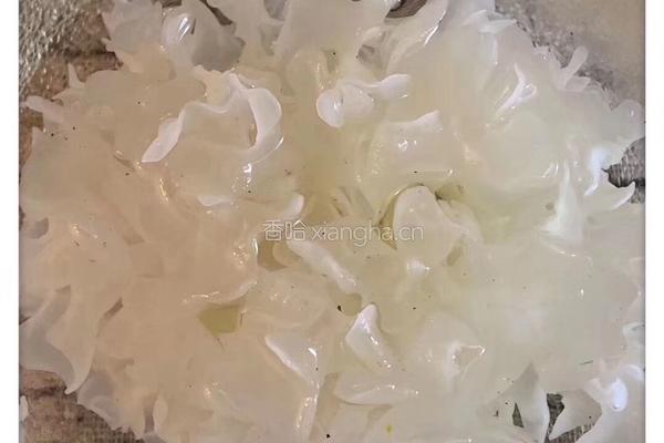 桂花皂角米桃胶银耳羹的做法图解4