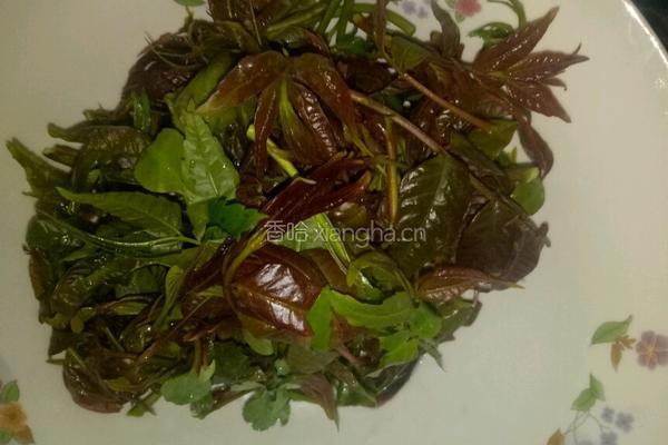 香椿拌豆腐的做法图解2