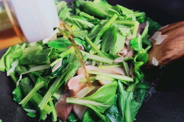 鲜蘑炒油菜的做法图解7