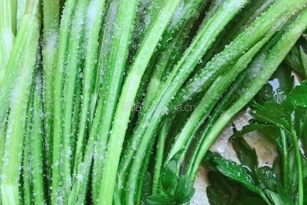 蒜末野芹菜的做法图解3