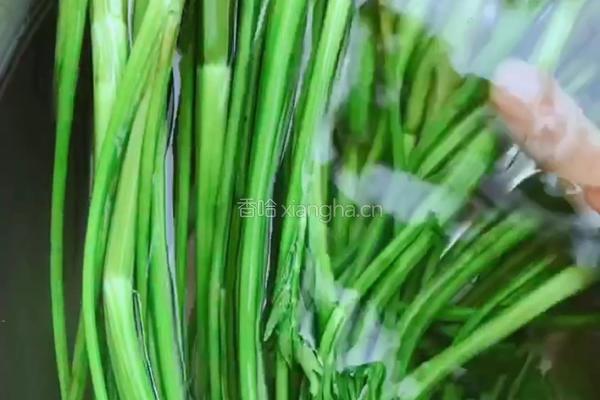 蒜末野芹菜的做法图解4