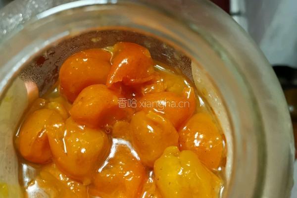 雪梨银耳金橘子糖水的做法图解7