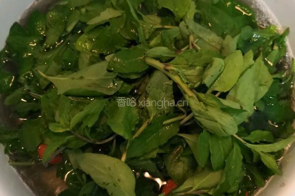 枸杞芽蛋汤的做法图解6
