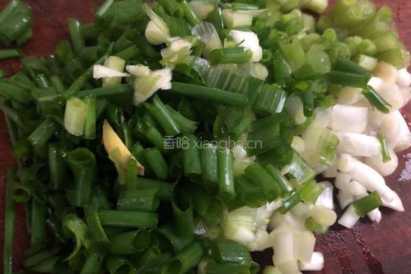 剁椒昂刺鱼的做法图解4
