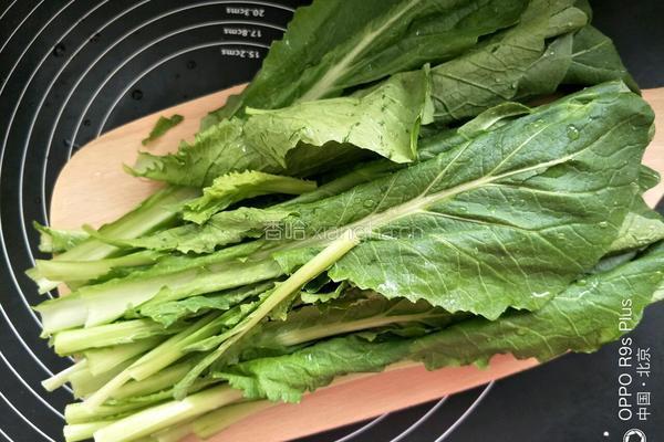宝宝辅食小白菜泥的做法图解1