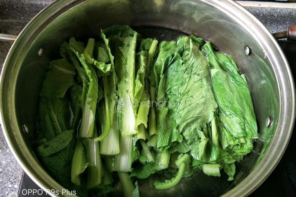 宝宝辅食小白菜泥的做法图解2