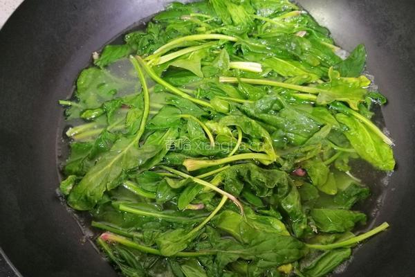 炝拌腐竹菠菜的做法图解4