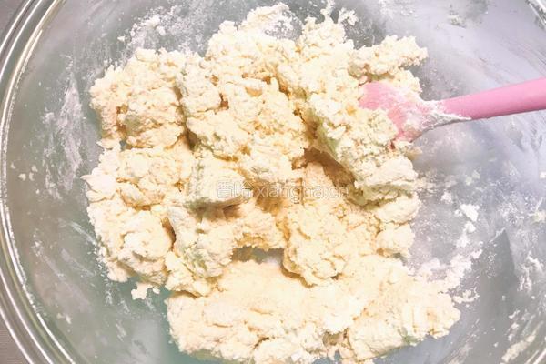 柠香薄荷曲奇的做法图解10
