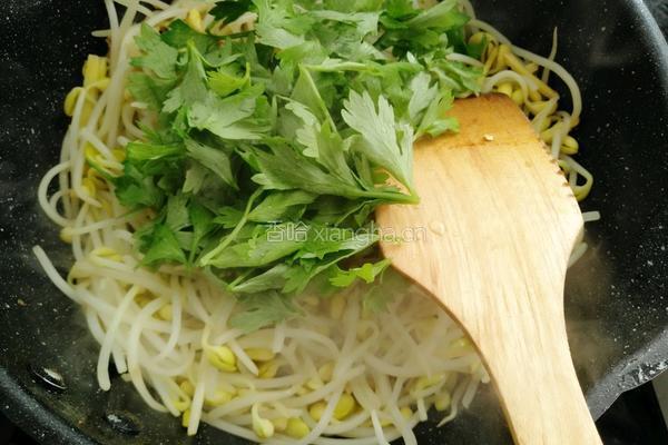 香辣黄豆芽的做法图解9
