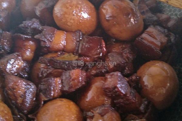 肥儿不腻的红烧肉的做法图解14